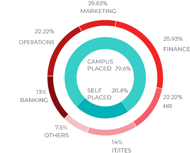 Internship Placement Percentage